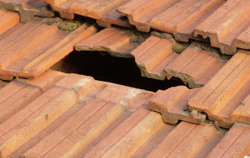 roof repair Langford Green