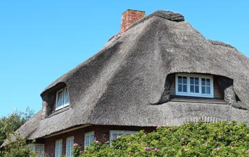 thatch roofing Langford Green
