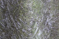 Langford Green fibreglass roof work